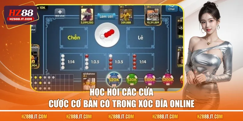 Học hỏi các cửa cược cơ bản có trong Xóc đĩa online